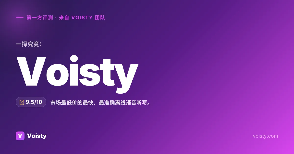 Voisty 诚实评测